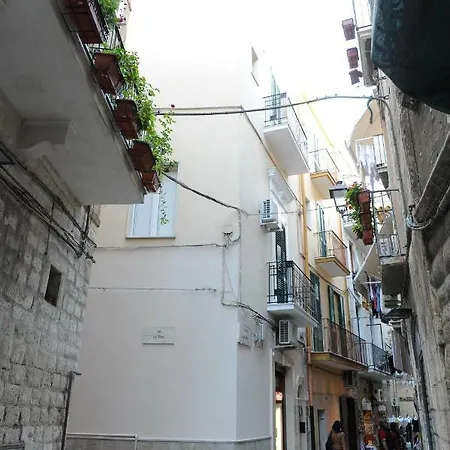 Palazzo Del Carmine